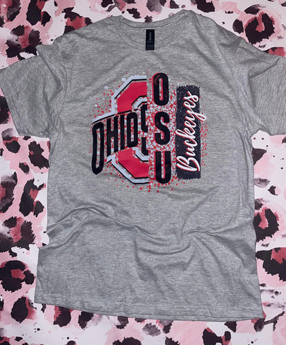 Ohio State dots E209