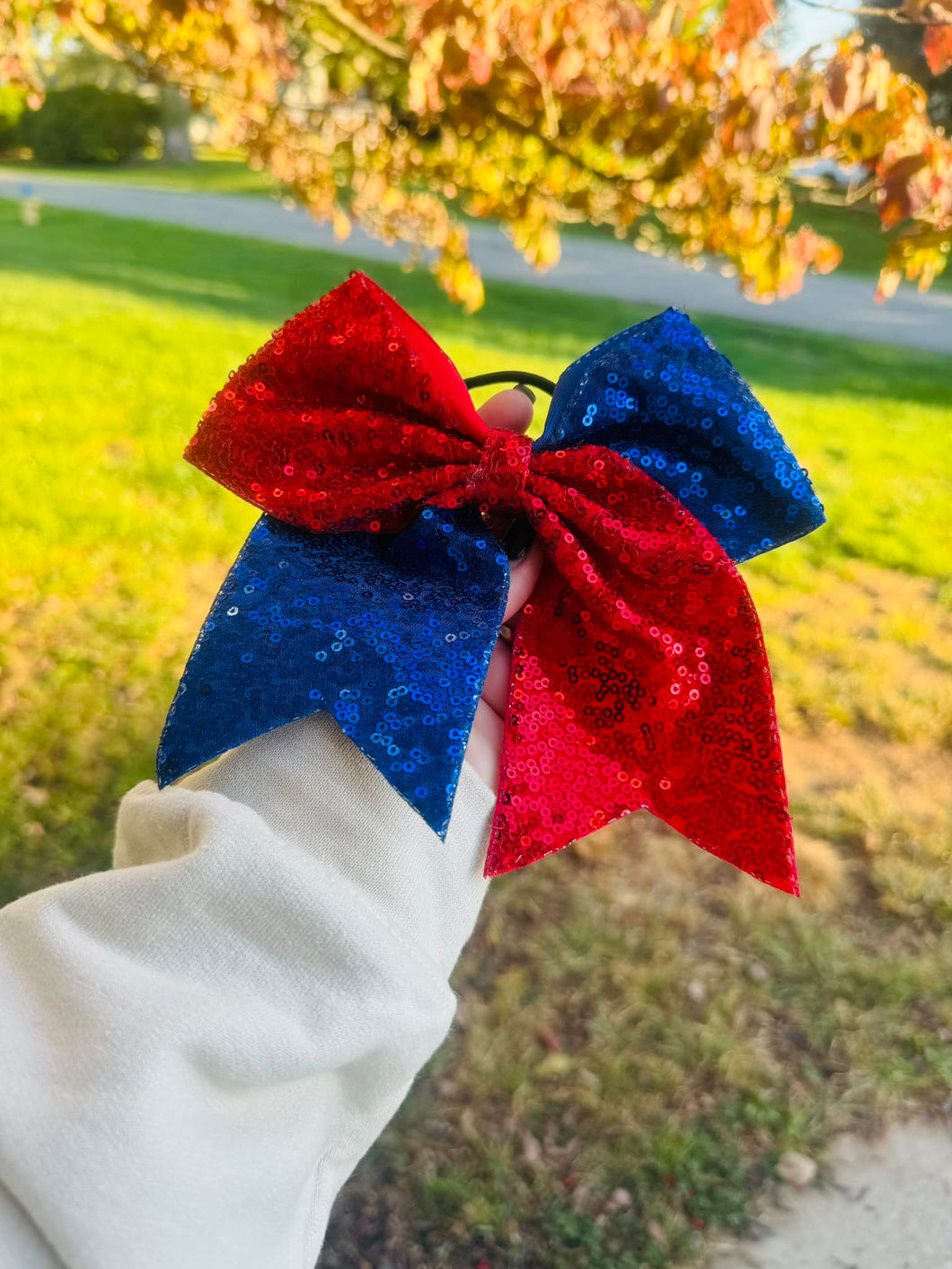 Red and Blue Sparkle Bow