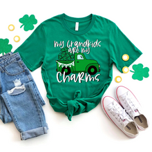 Load image into Gallery viewer, My Grandkids are my lucky Charm SP19