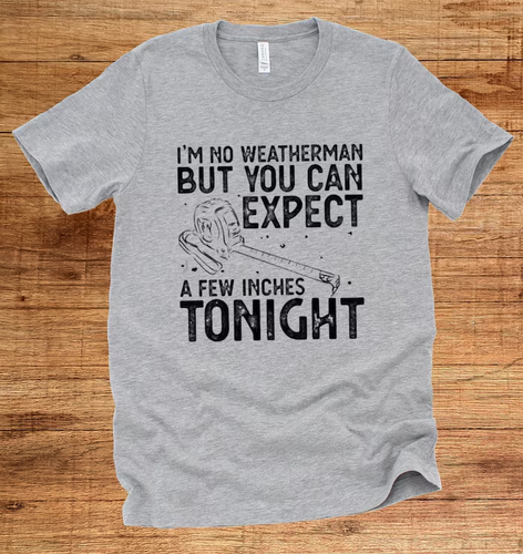 I'm no Weatherman, but you can expect a few inches tonight E504