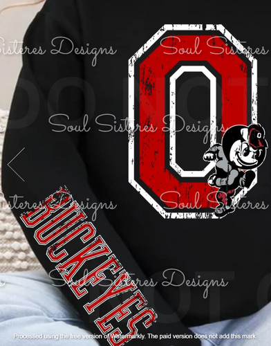 Ohio State sweatshirt with sleeve