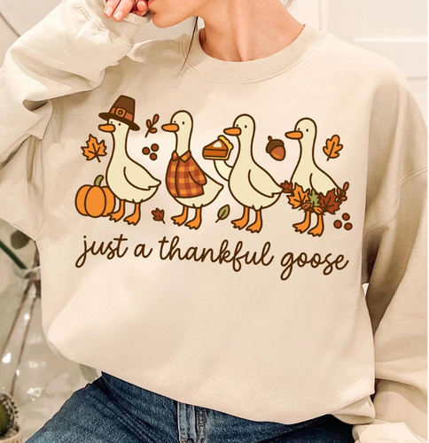 Just a Thanful Goose
