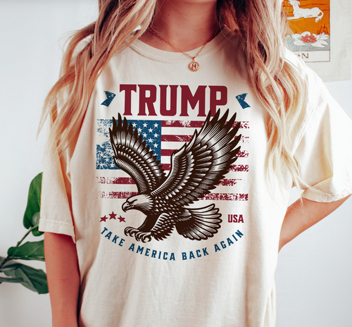 Trump Take America Back 2024