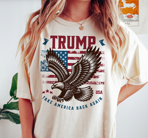 Trump Take America Back 2024