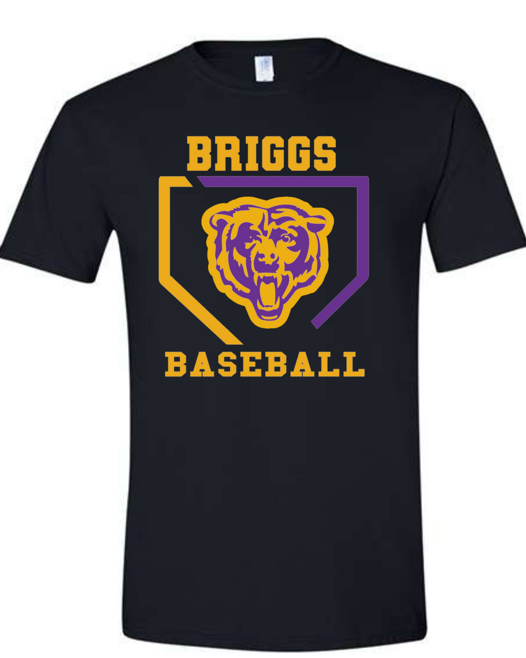 Briggs Baseball Retro