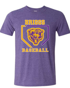 Briggs Baseball Retro