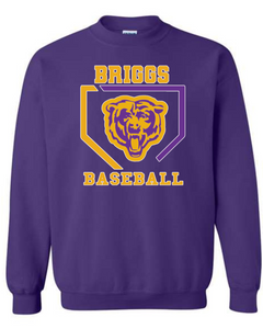 Briggs Baseball Retro