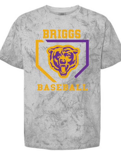 Briggs Baseball Retro (Color Blast Tee)