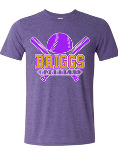 Briggs Baseball with Bats