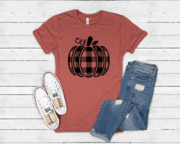 Load image into Gallery viewer, Plaid Pumpkin F172-8